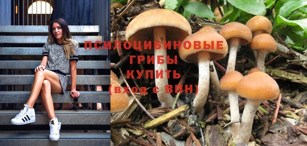 шишки Киров