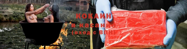 шишки Киров