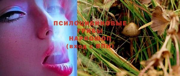 шишки Киров
